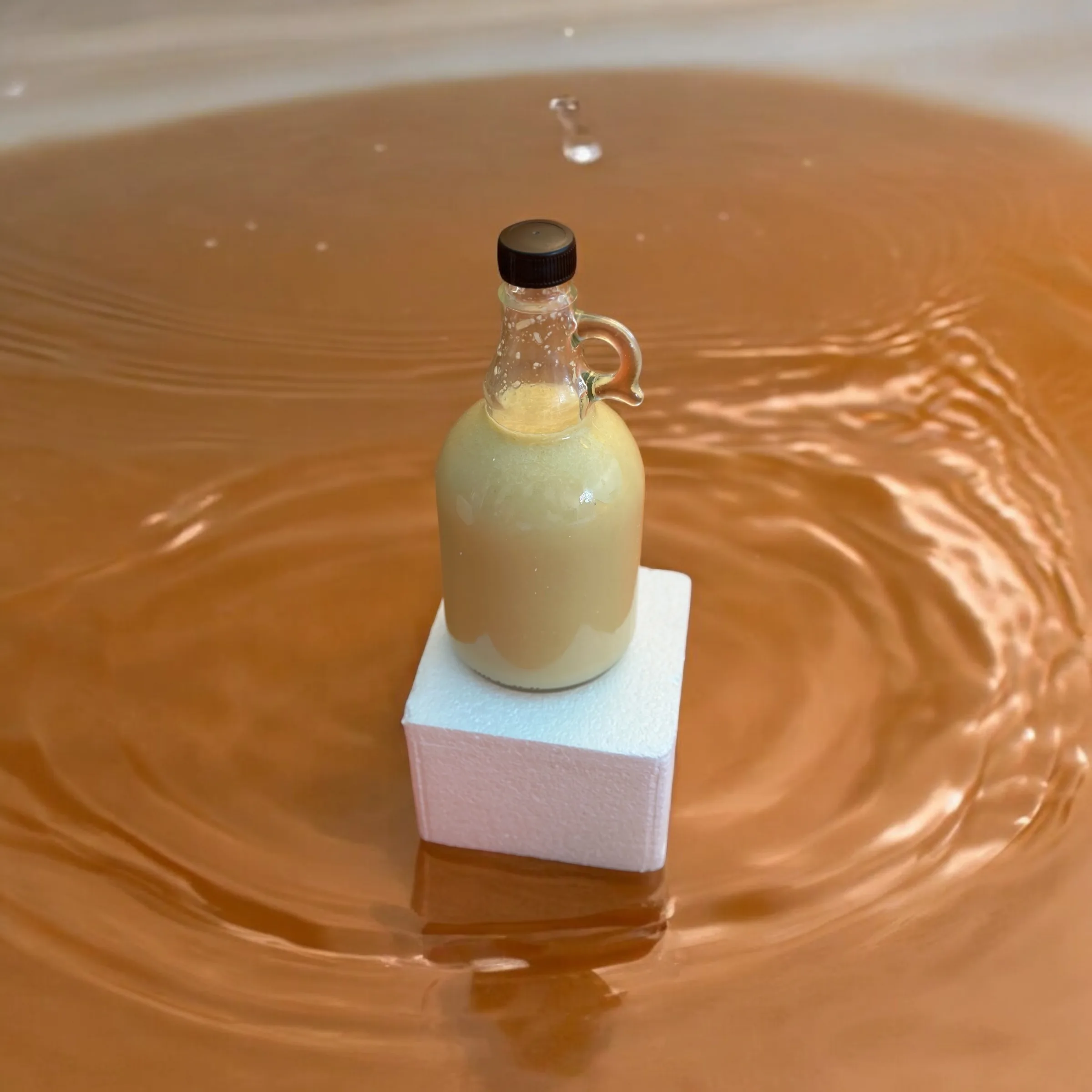 Photoroom_20240707_104834