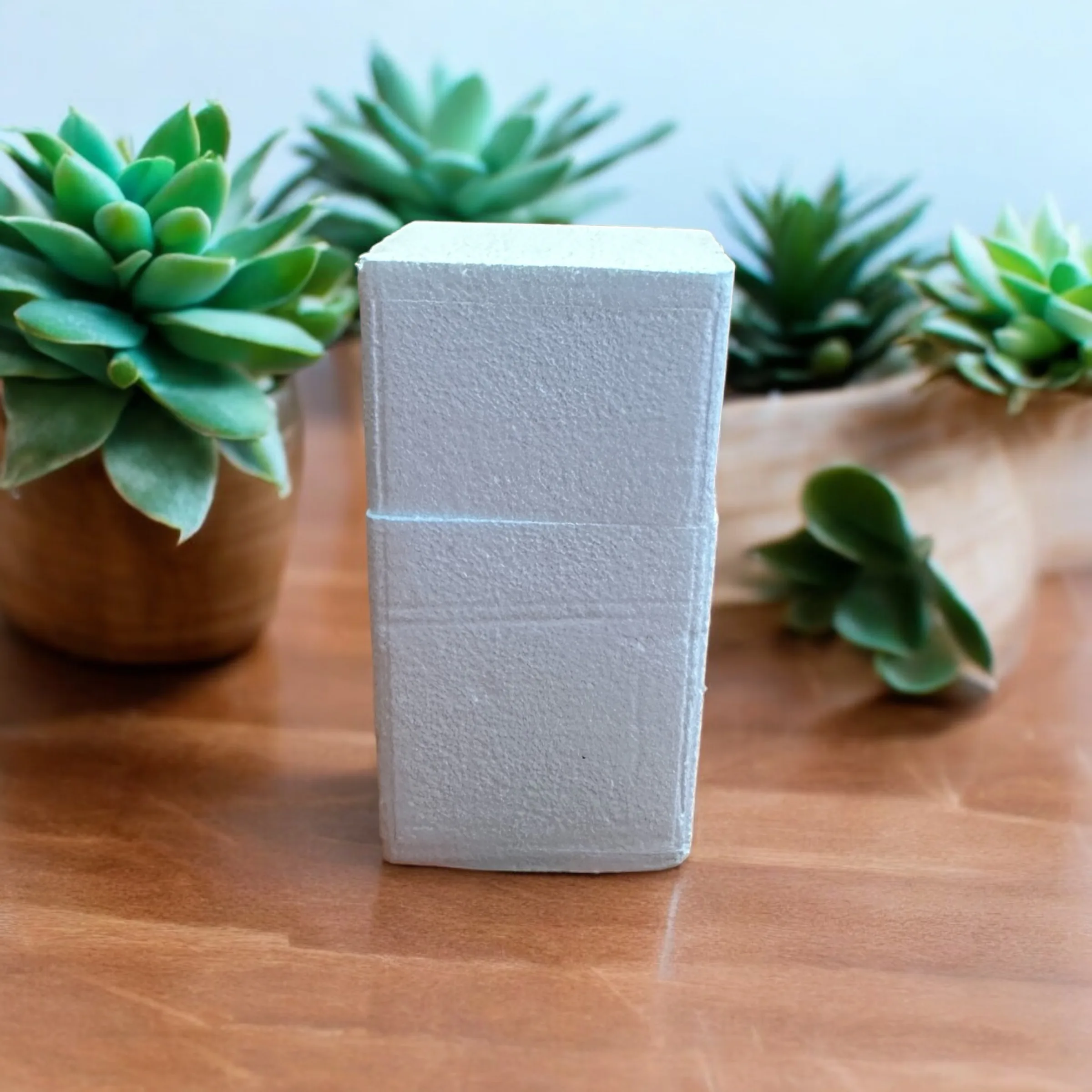 Photoroom_20240707_110552